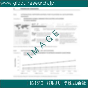 グローバルリサーチ調査資料のイメージ